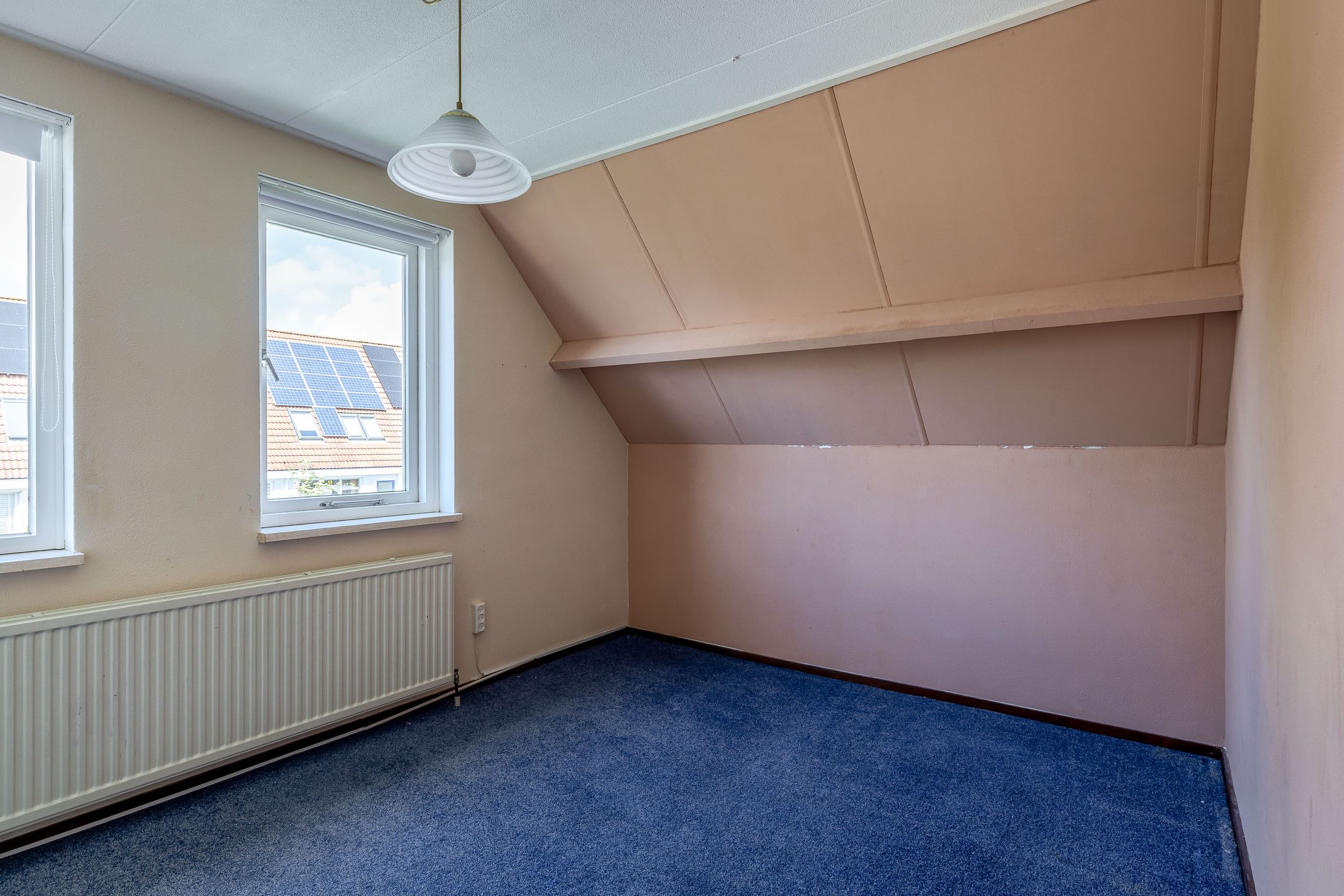 Photo 24 of Pimpelmees 55