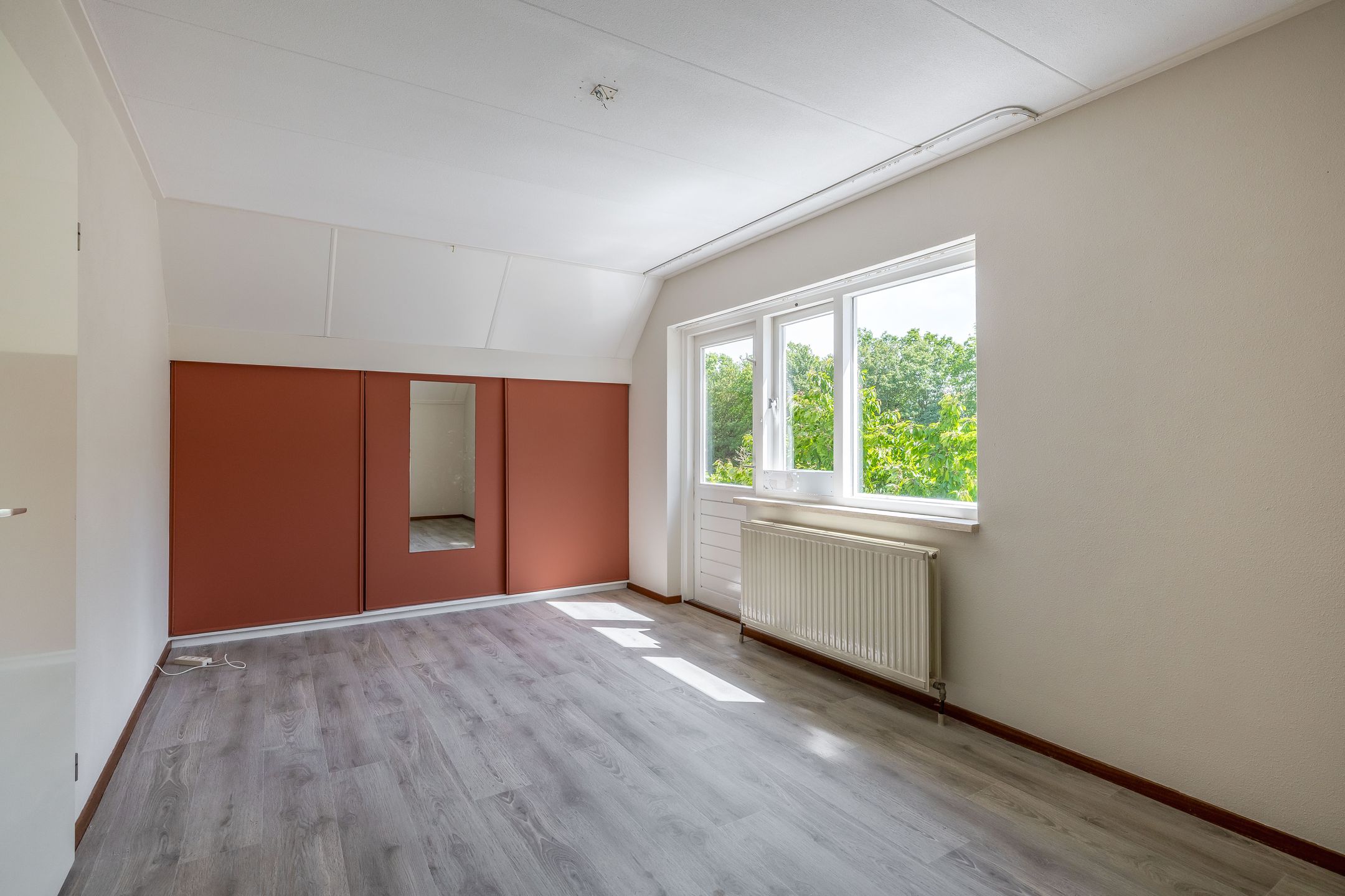 Photo 21 of Pimpelmees 55