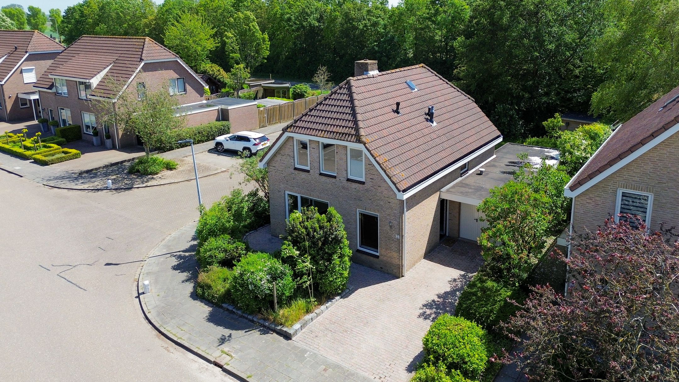 Photo 42 of Pimpelmees 55