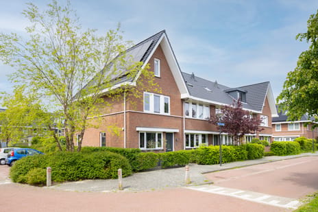 Albert van Damstraat thumbnail