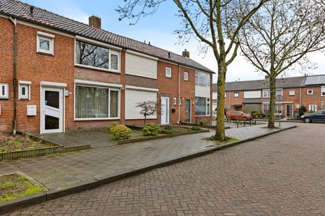 Wijnruitstraat thumbnail