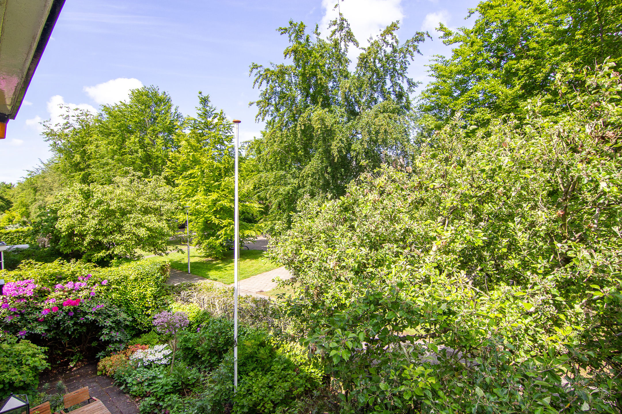 Foto 45 van Zandvoorter Allee 28