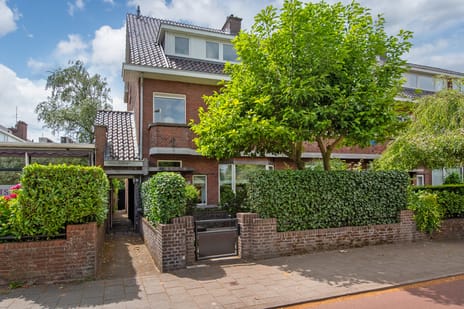 Van Alkemadelaan thumbnail