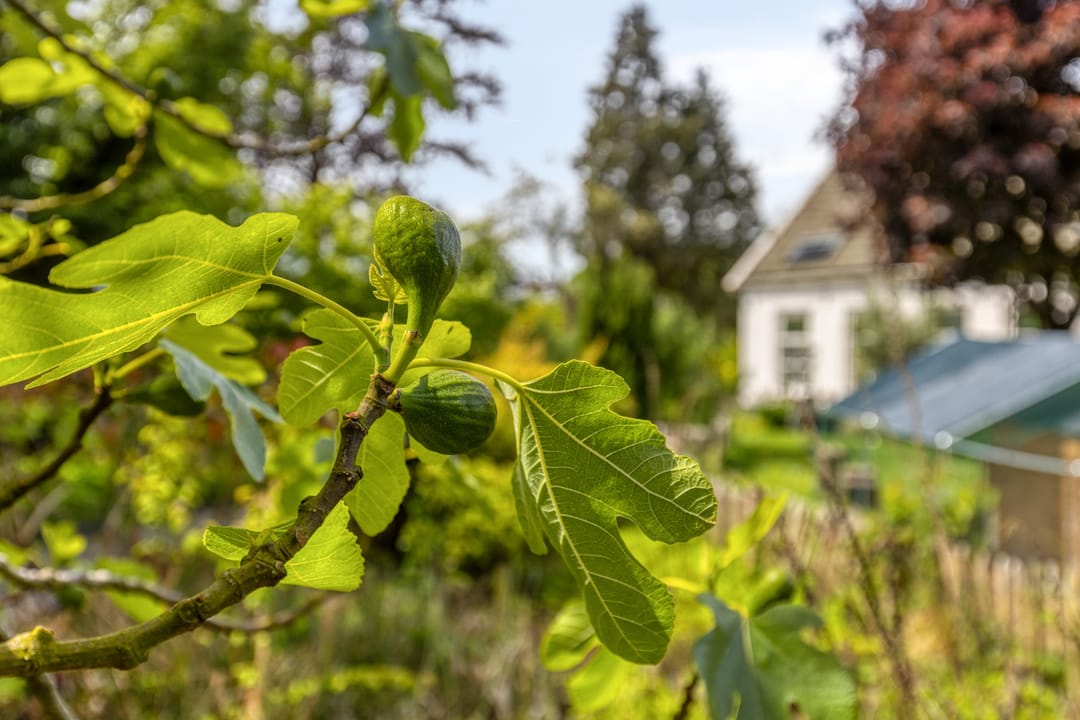 Photo 76 of Oude Rijksweg 72