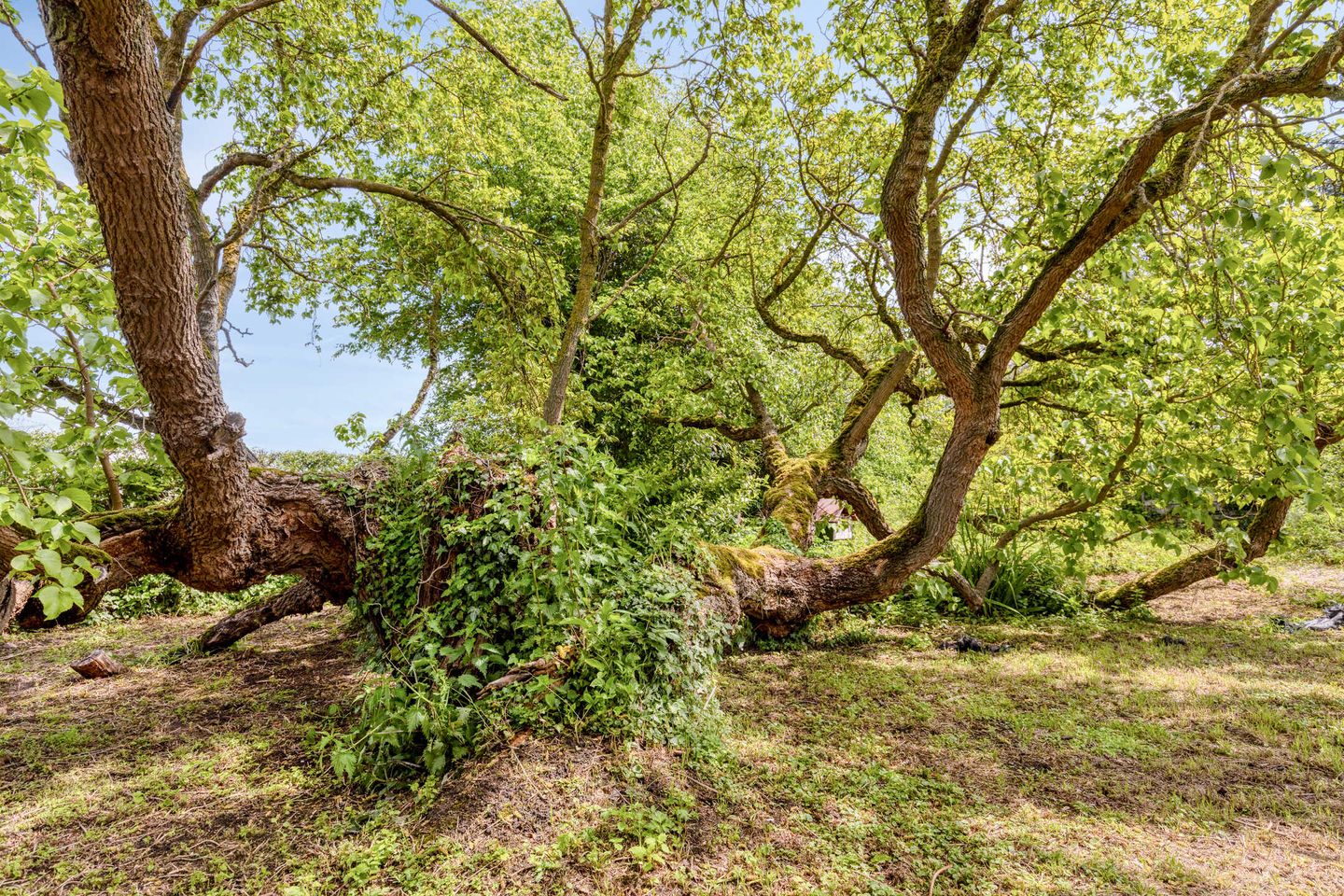 Photo 70 of Oude Rijksweg 72