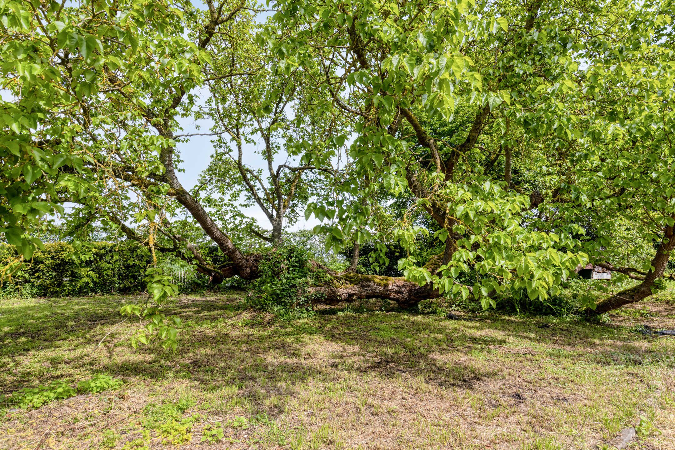 Photo 69 of Oude Rijksweg 72