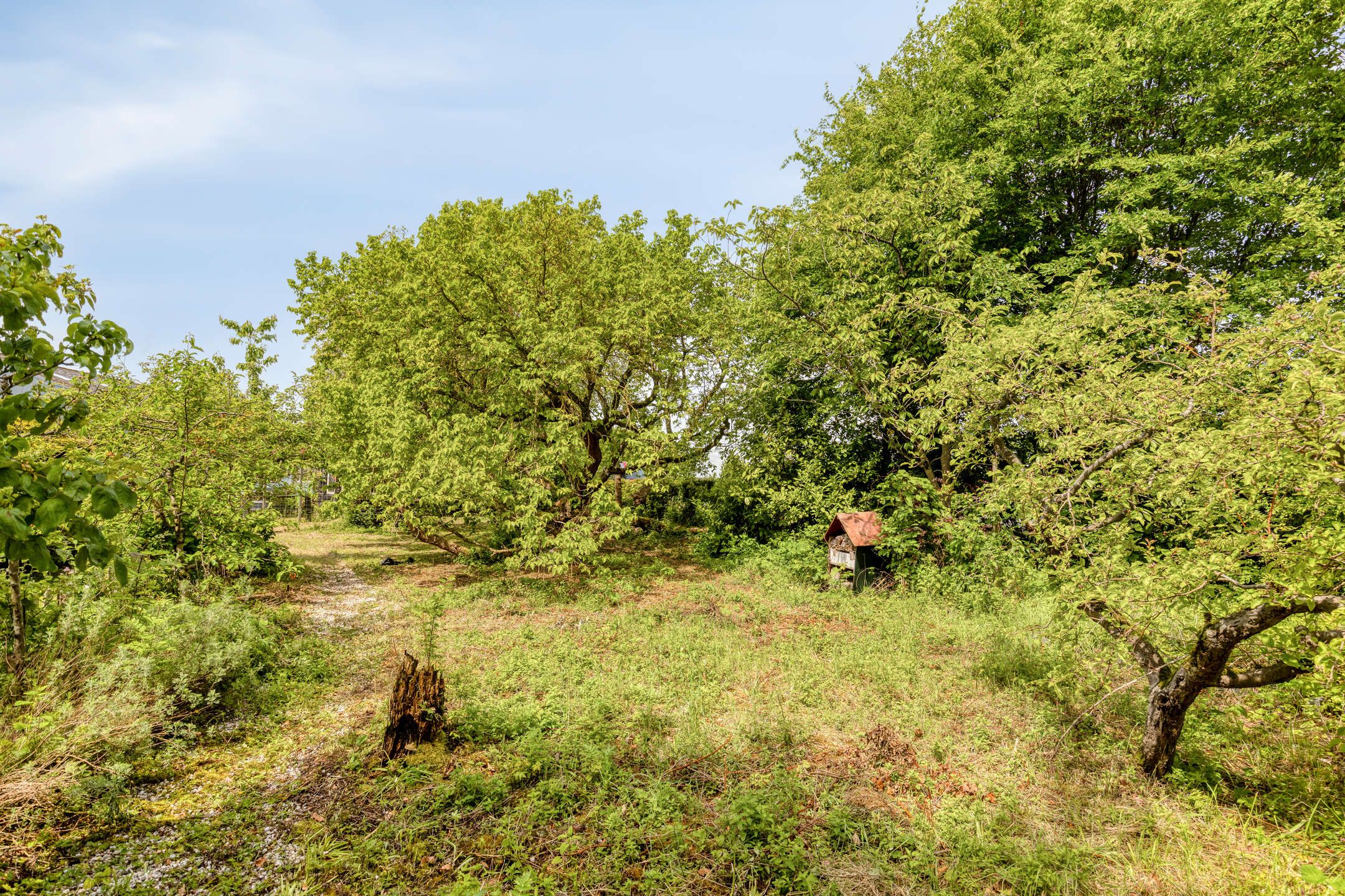 Photo 72 of Oude Rijksweg 72