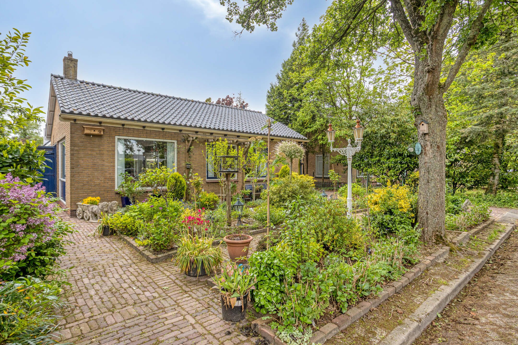 Photo 6 of Esdoornlaan 8