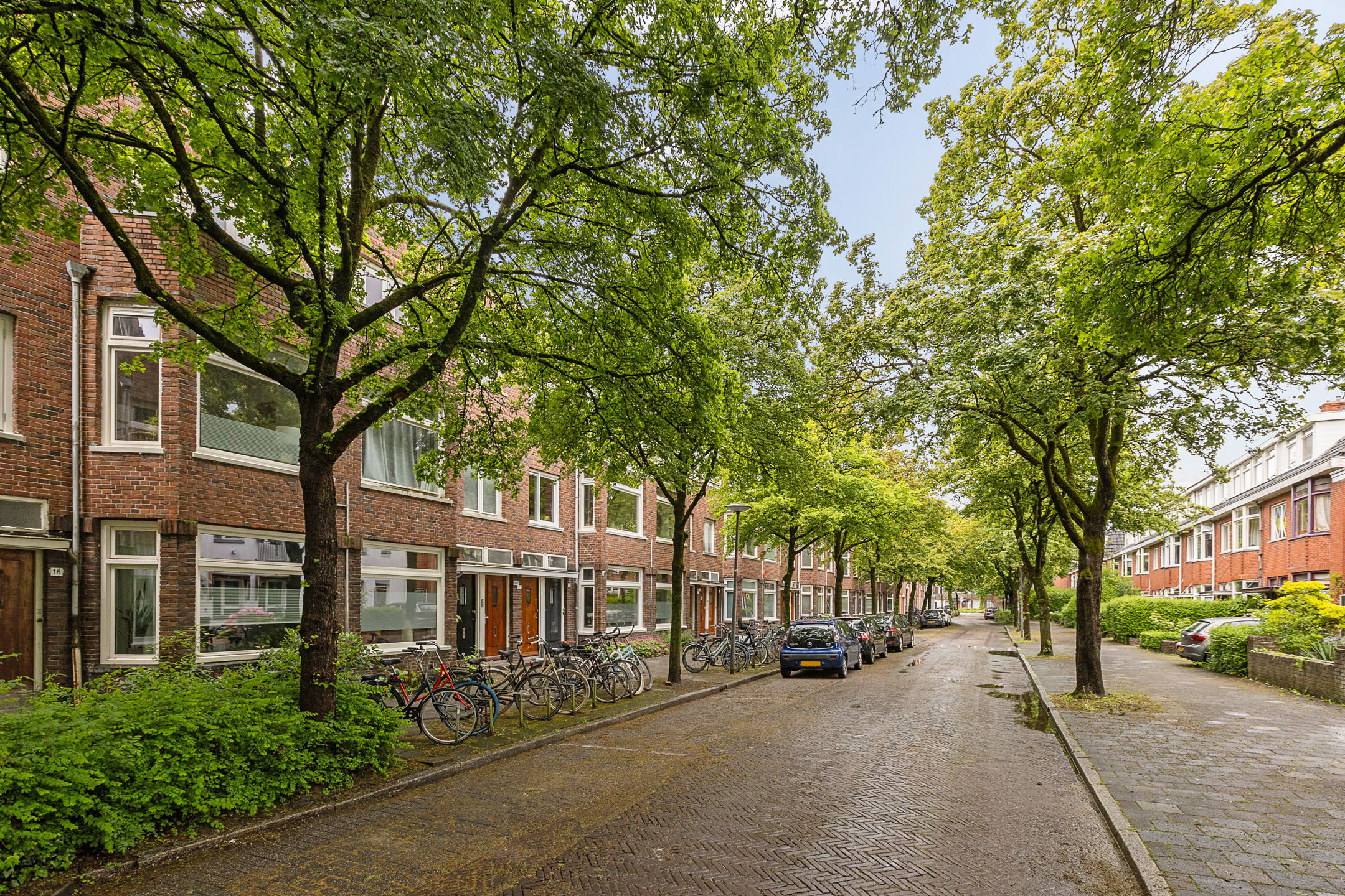 Professor Rankestraat 18 