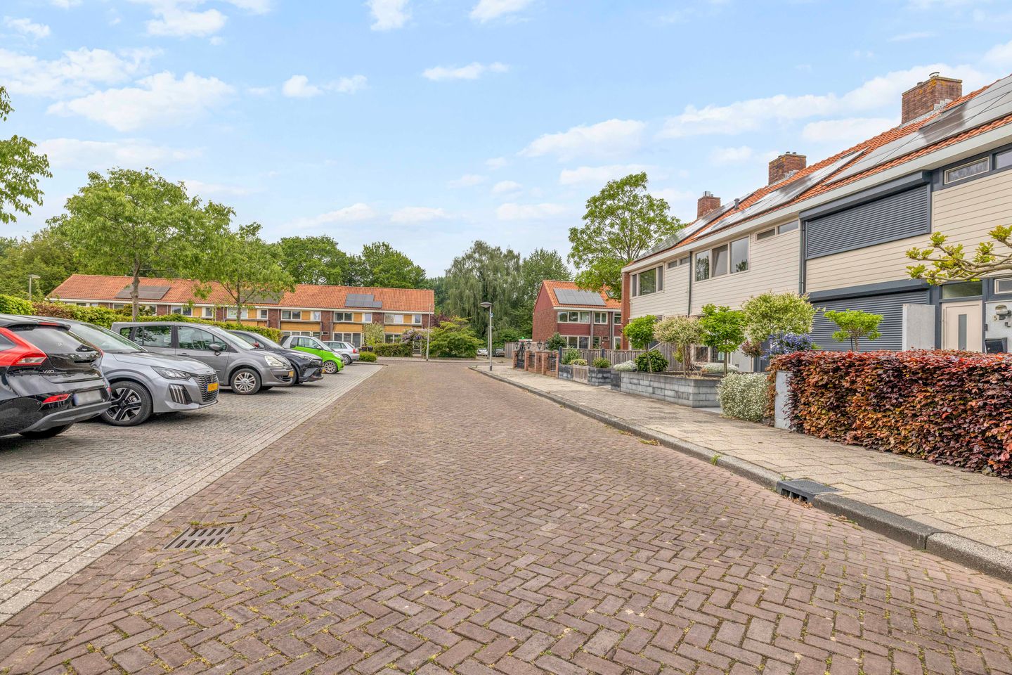 Foto 40 van Uitloper 9