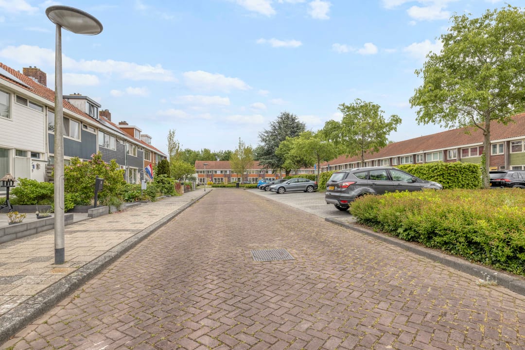 Foto 41 van Uitloper 9