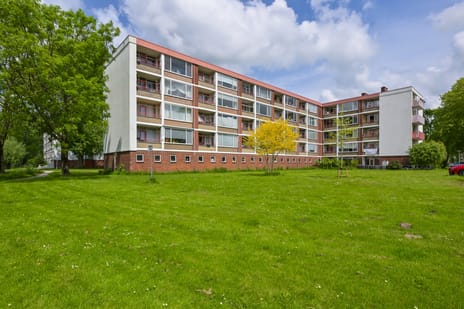 Leverkruidweg thumbnail