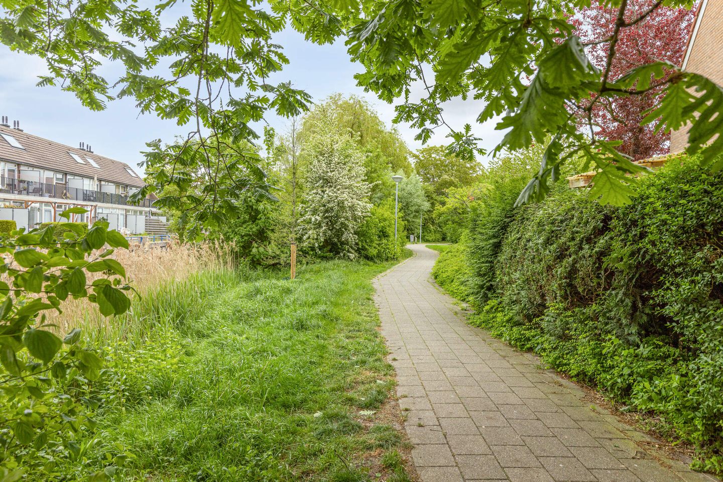 Foto 44 van Olieslagerstraat 13