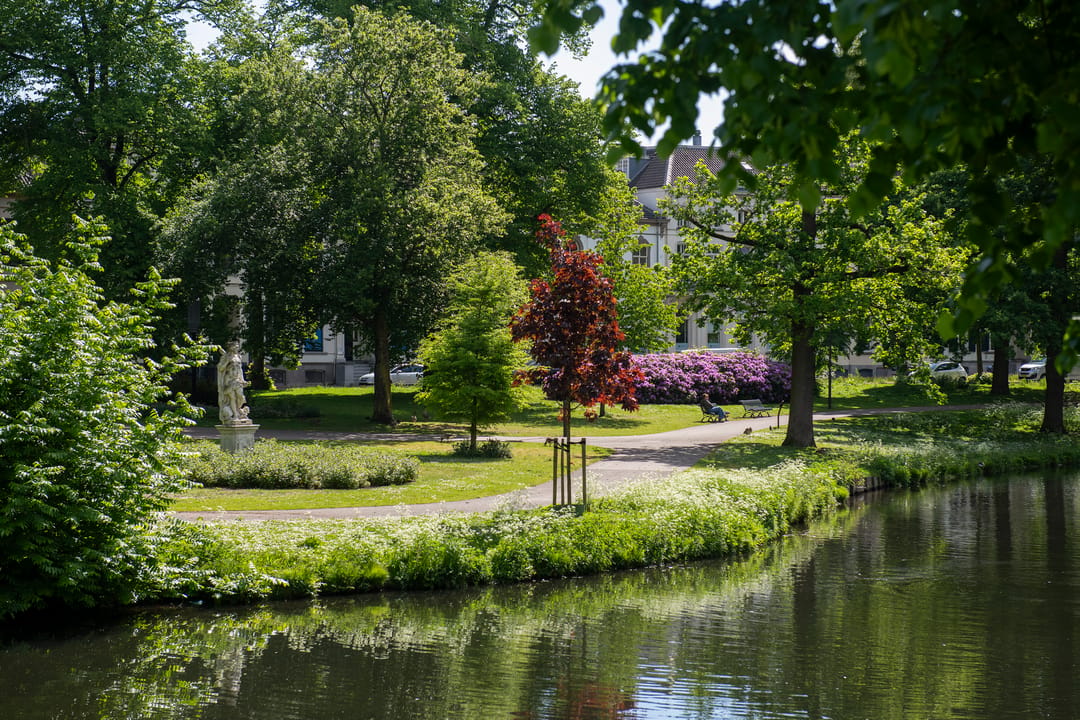 Foto 41 van Velperbuitensingel 13-C