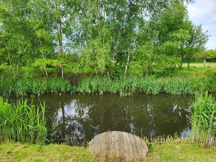Photo 4 of Loverensestraat 11-R283