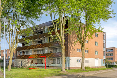Jan Bijhouwerstraat thumbnail
