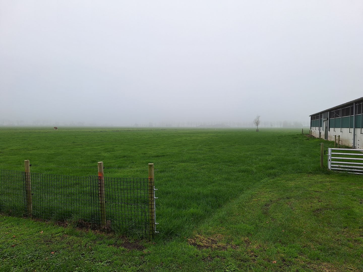 Bekijk foto 4 van Graafland 73-a