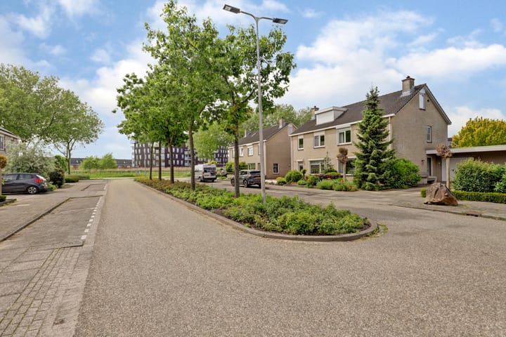 Foto 4 van Palissade 7