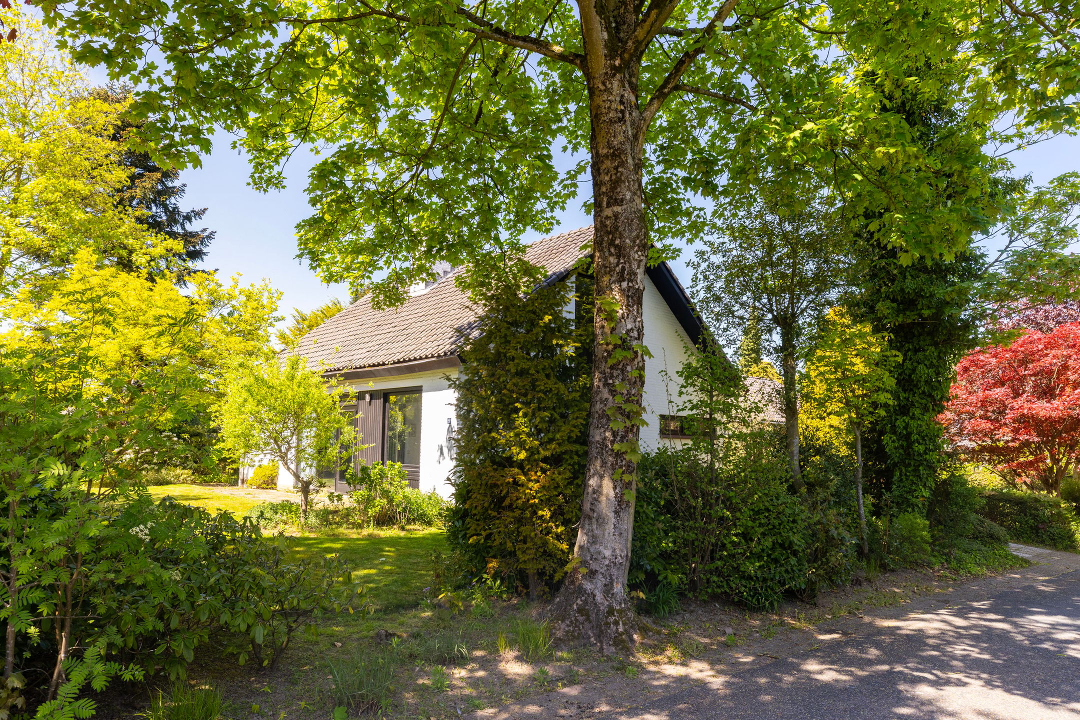 Photo 6 of Brinkenhorst 5