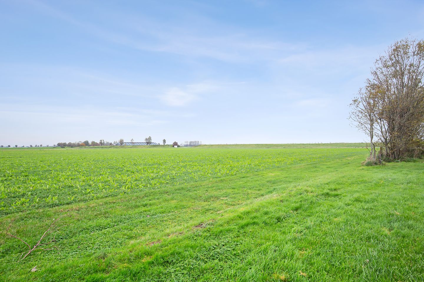 Foto 4 van Spieringweg 3