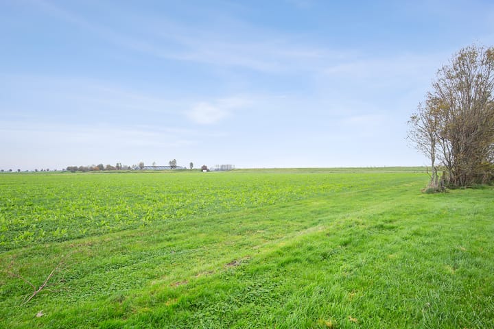 Foto 4 van Spieringweg 3