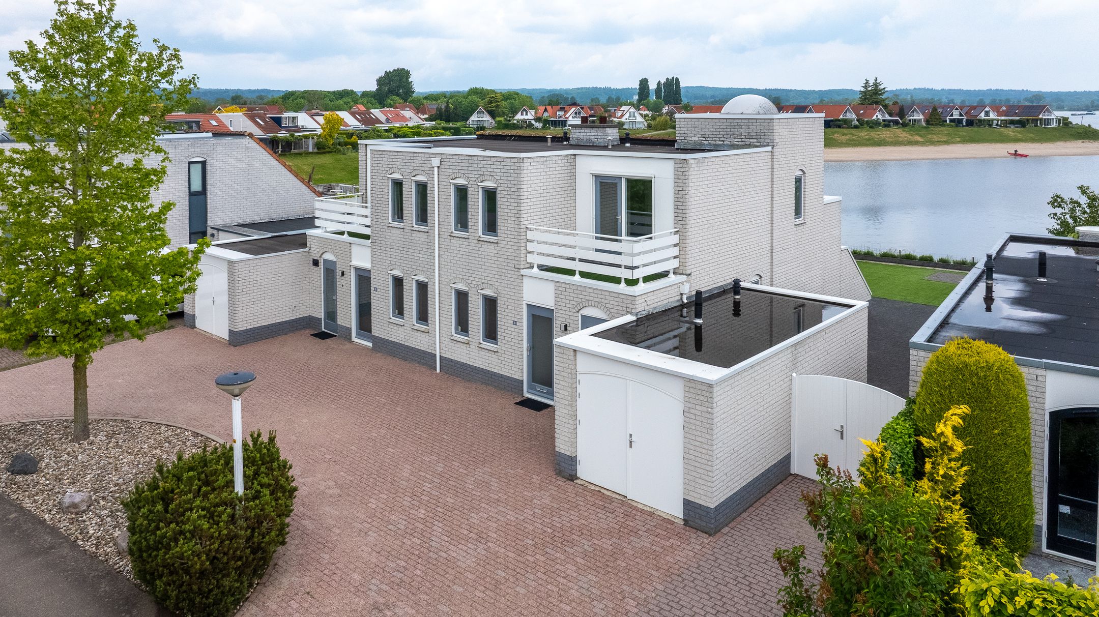 Zilvermeeuw 8 