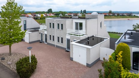 Zilvermeeuw thumbnail
