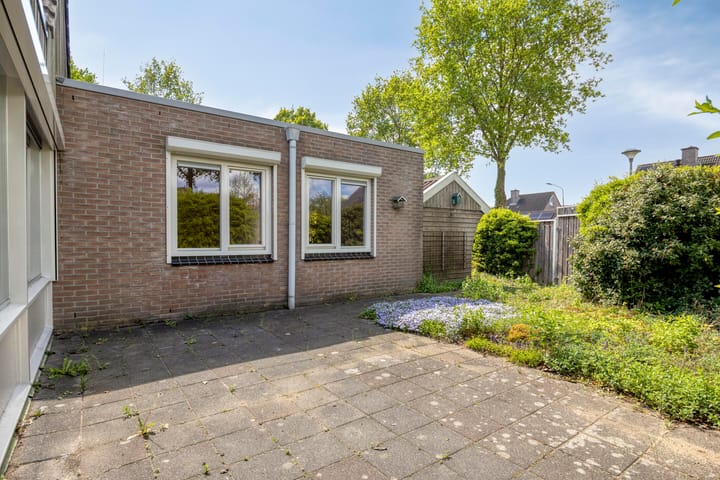 Foto 2 van Eidereend 46