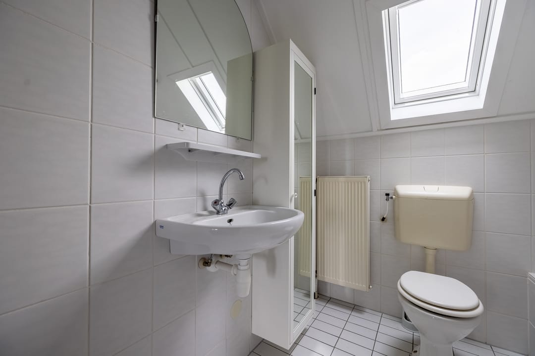 Foto 47 van Zilvermeeuw 10