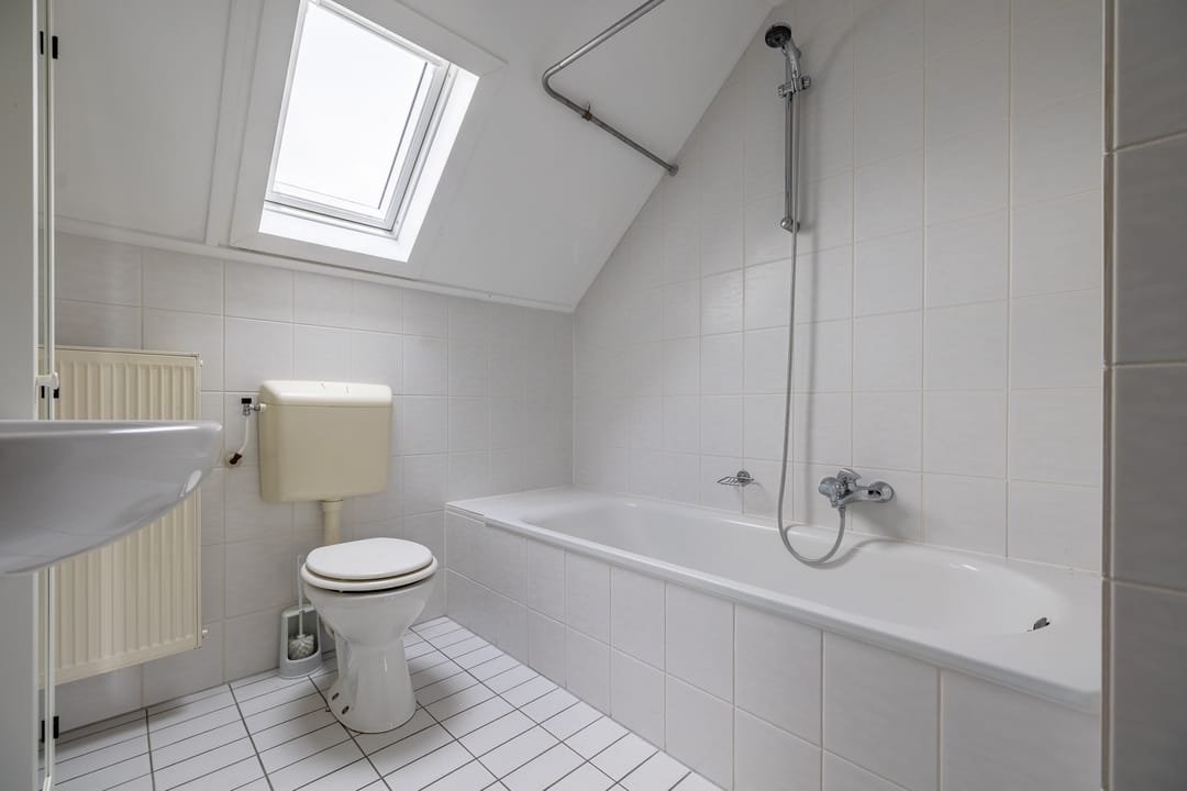 Foto 46 van Zilvermeeuw 10