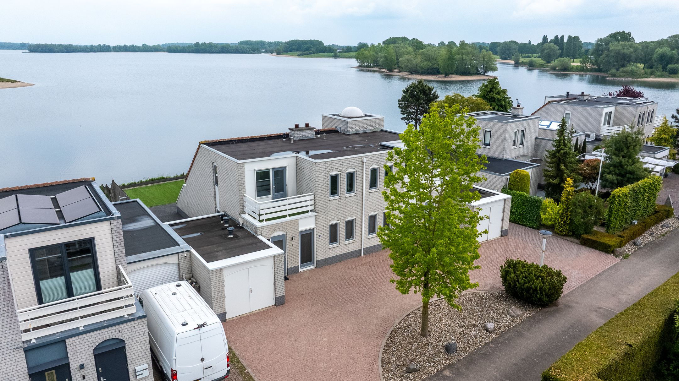 Zilvermeeuw 10 