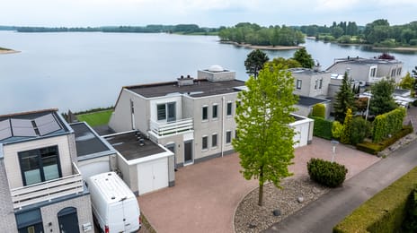 Zilvermeeuw thumbnail