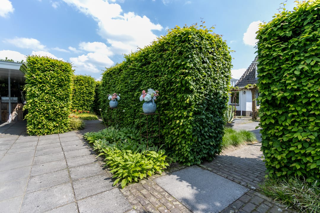 Foto 46 van Wilgenstraat 18