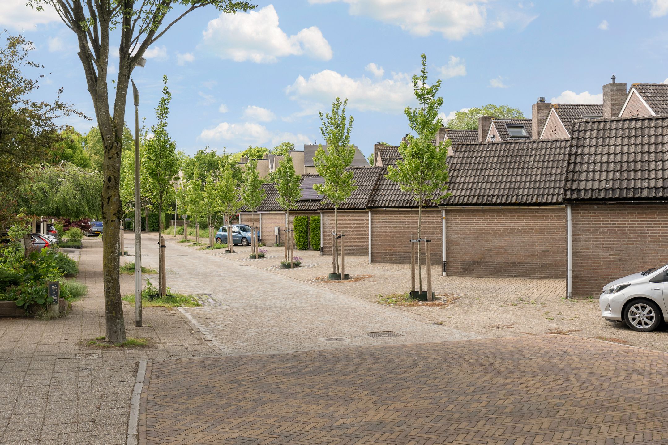Foto 30 van Lupine-oord 21
