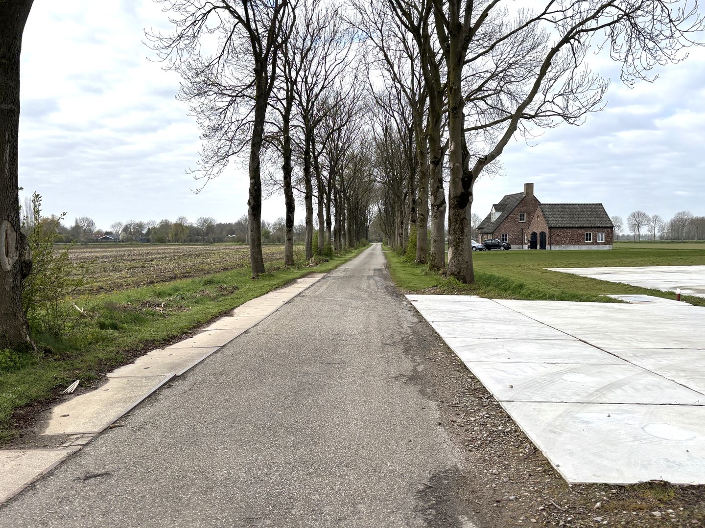 Bekijk foto 5 van Peperkoekweg 1