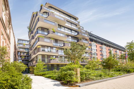 Pieter de Hoochstraat thumbnail