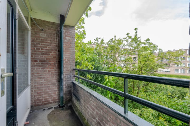 Foto 5 van Ruigoord 91