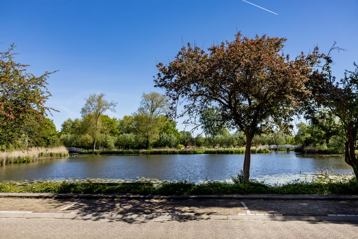 Foto 4 van Wouwerlaan 21-B