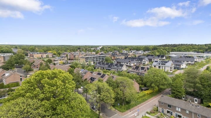Foto 4 van Strausslaan 59