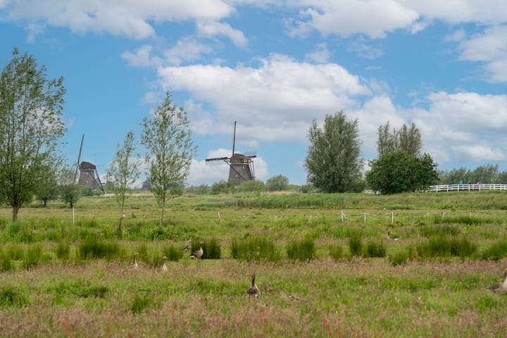 Foto 2 van Vossestaart 14
