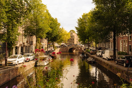 Looiersgracht thumbnail