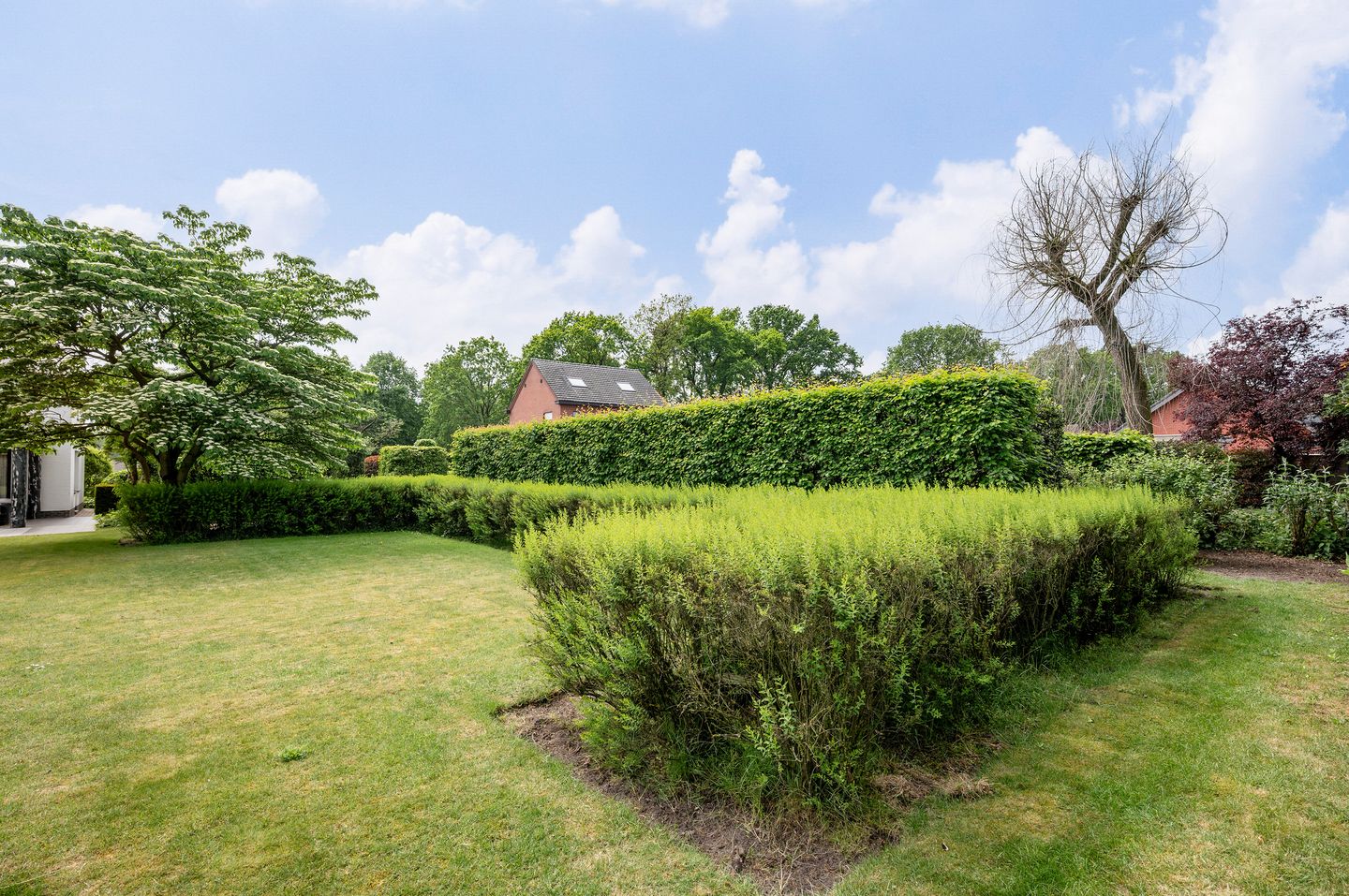Photo 10 of Akkerstraat 57
