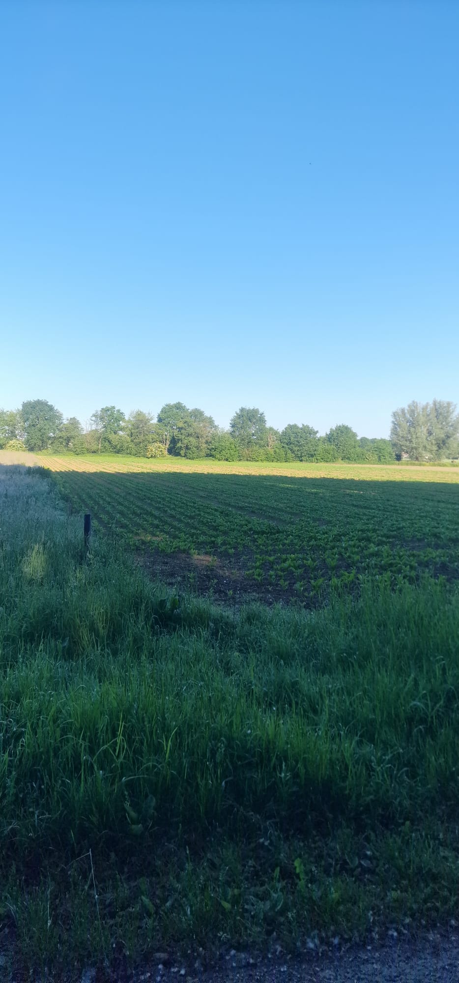 Bekijk foto 2 van Altaarweideweg