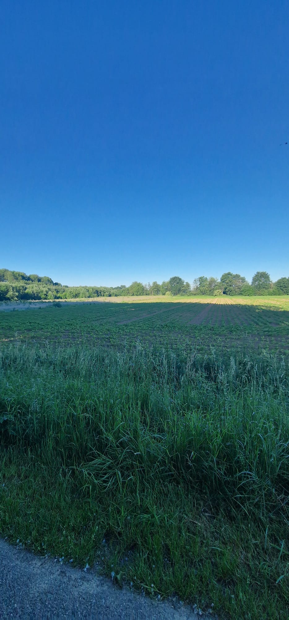 Bekijk foto 3 van Altaarweideweg