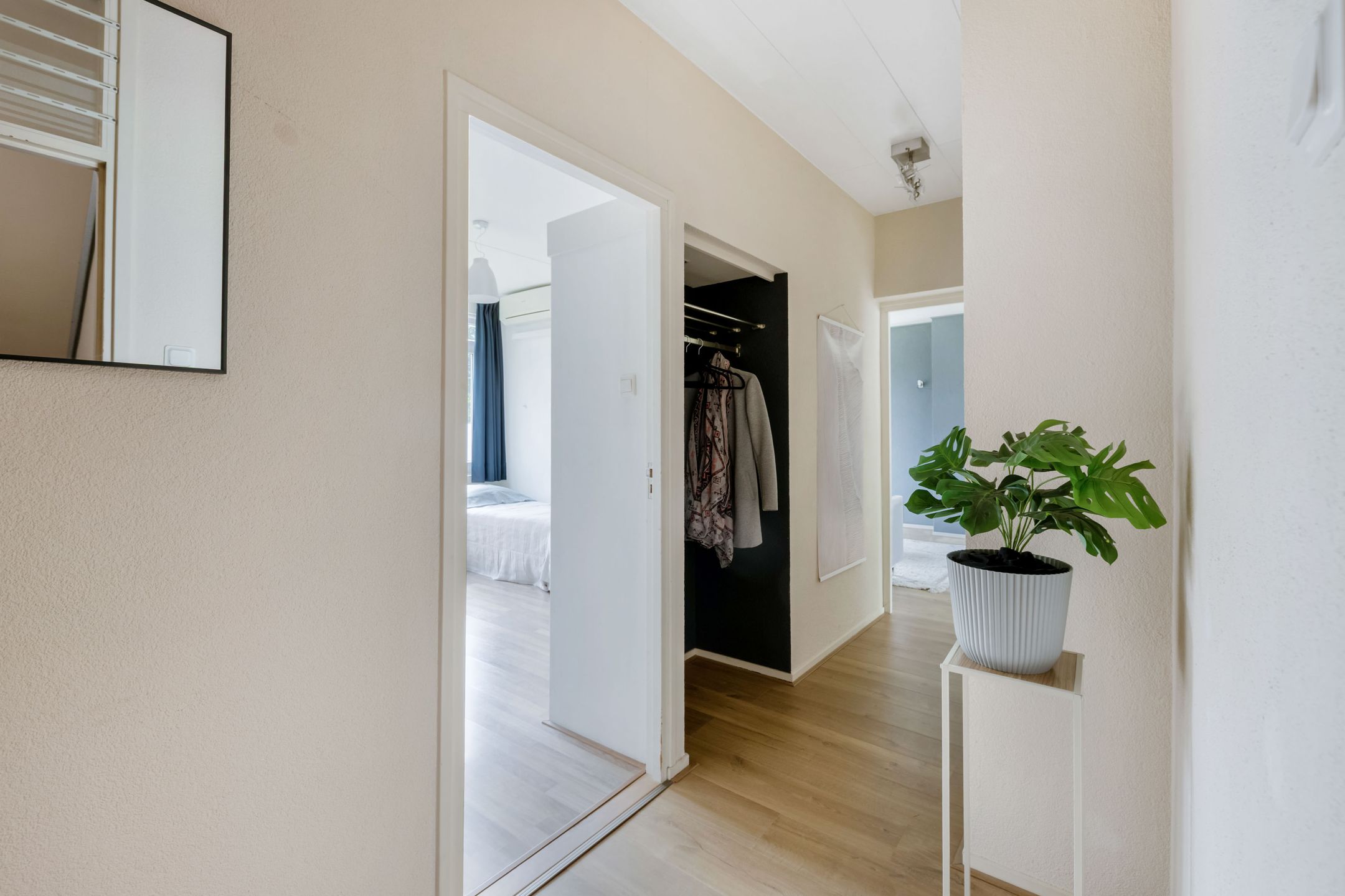 Photo 12 of Pisanostraat 262
