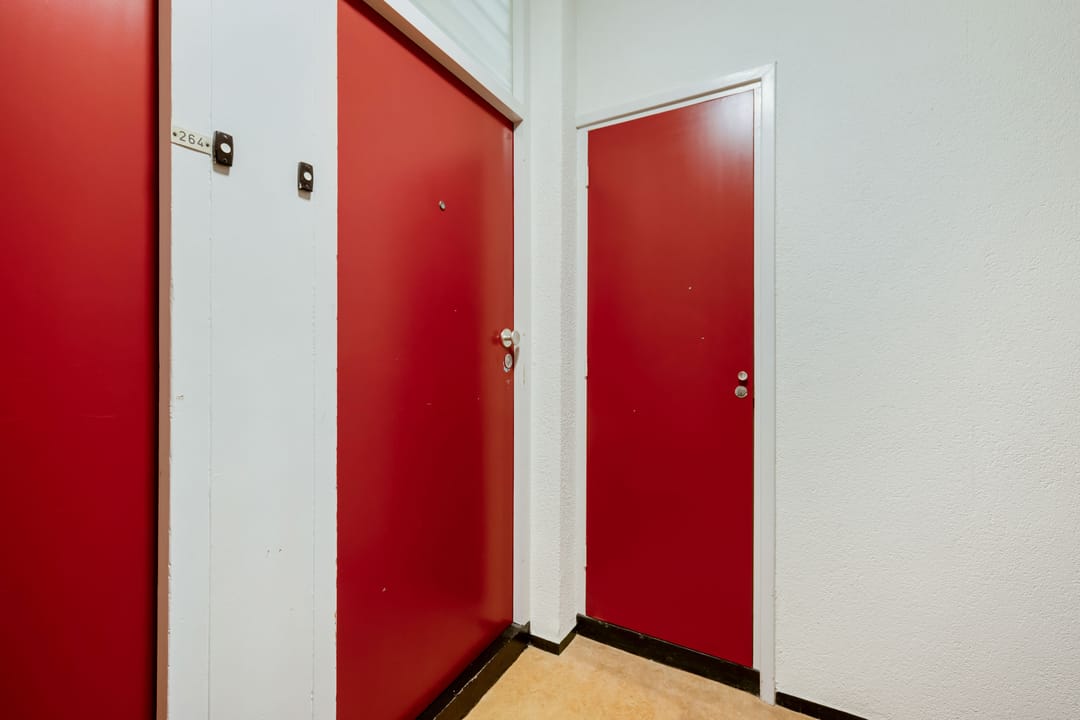 Photo 11 of Pisanostraat 262