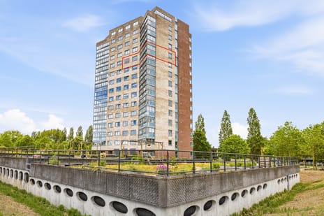 Boomgaardweg thumbnail
