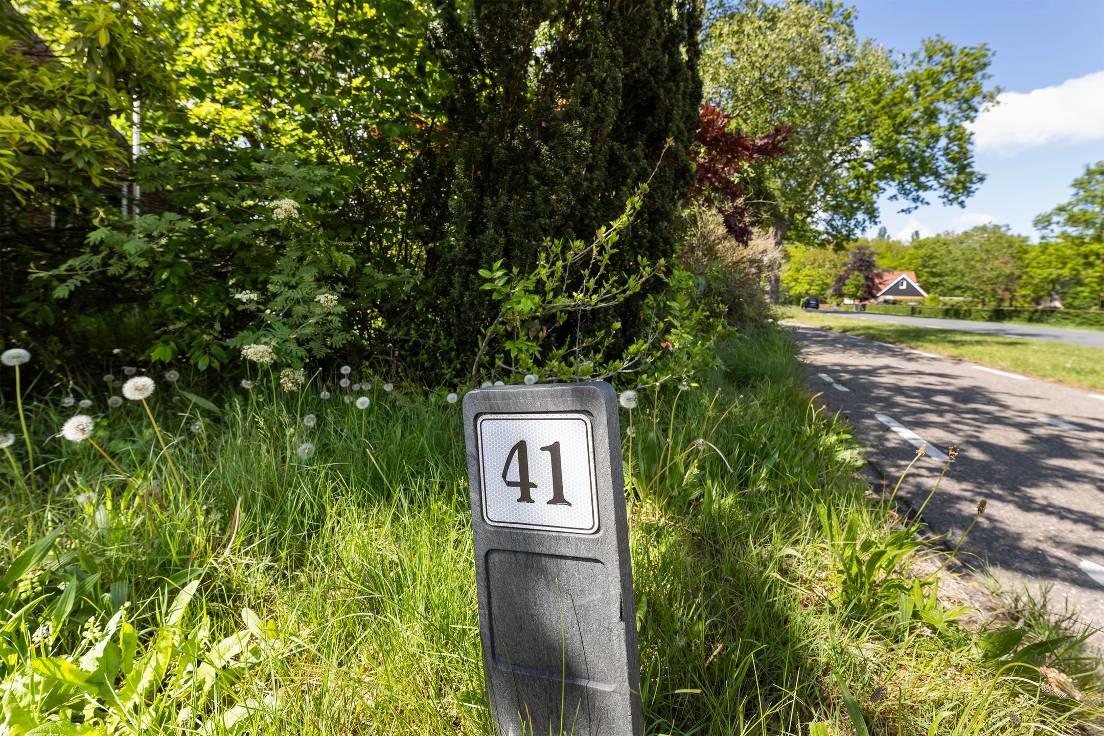 Photo 36 of Vriezenveenseweg 41