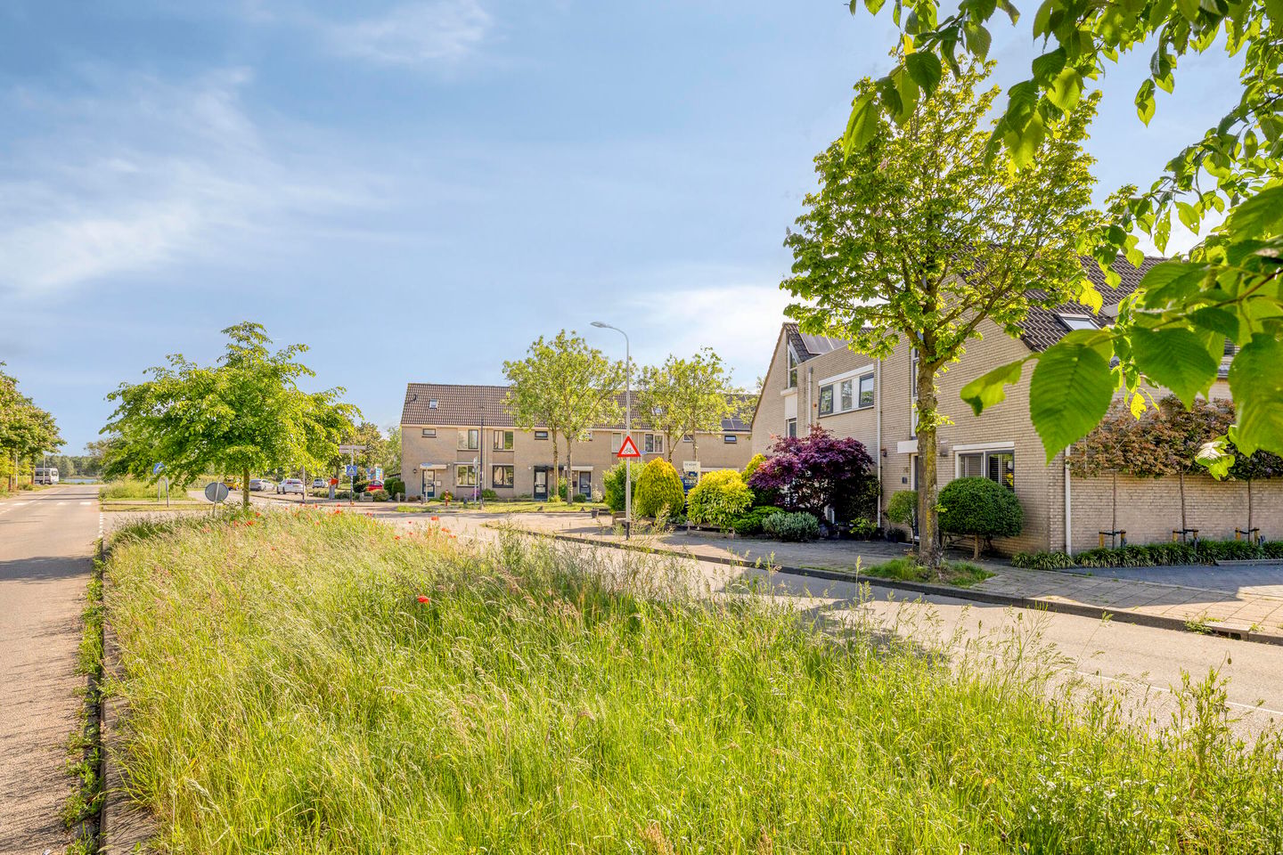 Photo 55 of Dwarsdijk 20