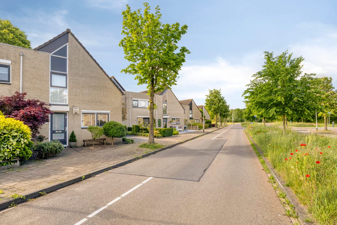Photo 52 of Dwarsdijk 20